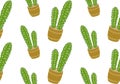 Cactus seamless pattern or texture. Cute cacti in pots background. Plant print design. Vector illustration